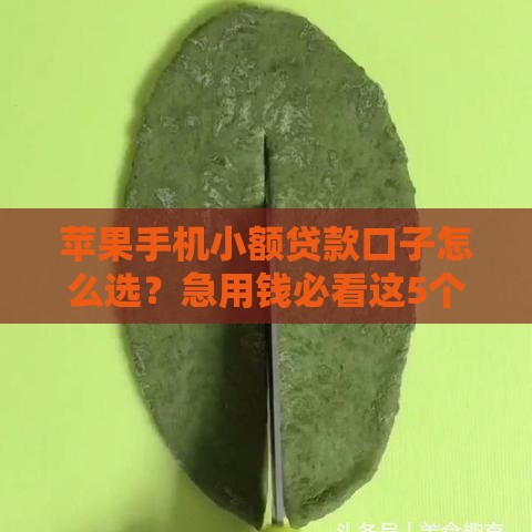 苹果手机小额贷款口子怎么选？急用钱必看这5个靠谱渠道！