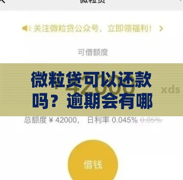 微粒贷可以还款吗？逾期会有哪些影响？一文解答所有疑问