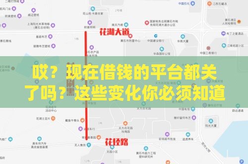 哎？现在借钱的平台都关了吗？这些变化你必须知道！
