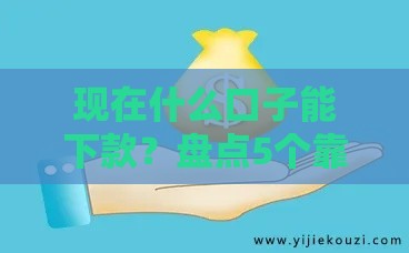 现在什么口子能下款？盘点5个靠谱平台+避坑指南
