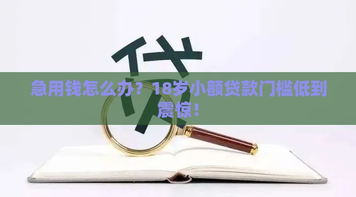 急用钱怎么办?18岁小额贷款门槛低到震惊! 急用钱怎么办?18岁小额贷款门槛低到震惊!