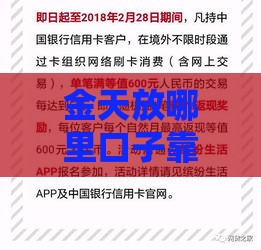 金天放哪里口子靠谱？手把手教你避坑攻略