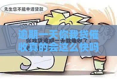 逾期一天你我贷催收真的会这么快吗？实测避坑指南