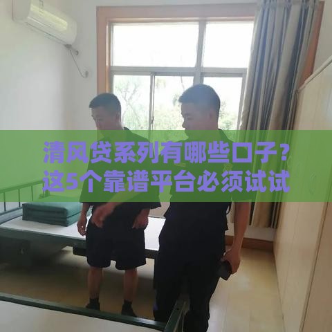 清风贷系列有哪些口子？这5个靠谱平台必须试试！