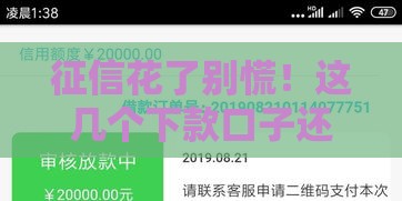 征信花了别慌！这几个下款口子还能帮你应急（附详细攻略）