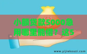 小额贷款5000急用哪里能借？这5个平台下款快还安全！