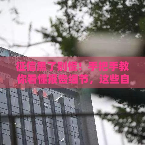 征信黑了别慌！手把手教你看懂报告细节，这些自救方法要牢记