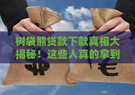 树袋熊贷款下款真相大揭秘！这些人真的拿到钱了？（附底层逻辑分析）