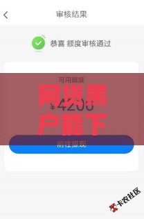 网贷黑户能下款的口子论坛有哪些？试试这几个办法！