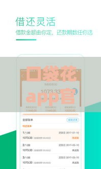 口袋花app官网贷款靠谱吗？正规平台快速到账，申请流程全解析！