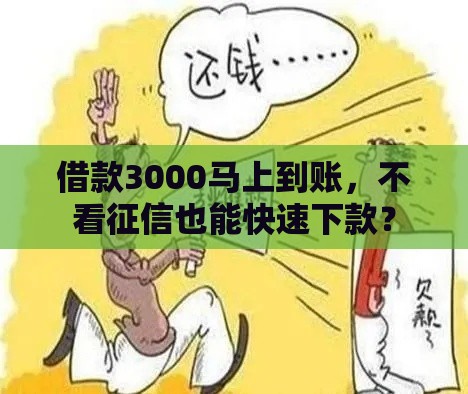 借款3000马上到账，不看征信也能快速下款？