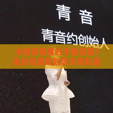 小鹅花钱真的不看信用？这些隐藏规则你必须知道！
