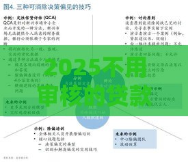 2025不用审核的贷款？真的假的！全面解析新趋势