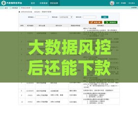 大数据风控后还能下款？这5个平台超靠谱，实测通过率高！