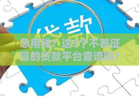 急用钱？这5个不看征信的贷款平台靠谱吗？一文解析避坑指南！