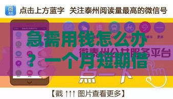 急需用钱怎么办？一个月短期借款口子这样选最稳妥