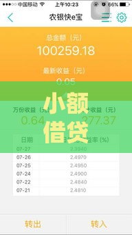小额借贷新选择：灵活周转轻松搞定资金难题