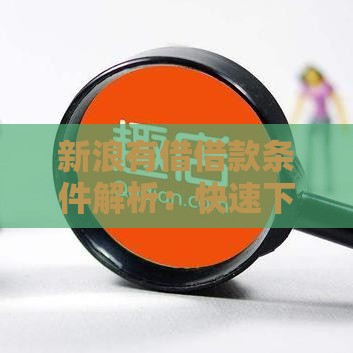 新浪有借借款条件解析：快速下款必看攻略