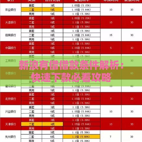 新浪有借借款条件解析：快速下款必看攻略