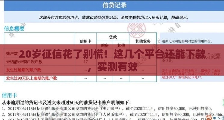 20岁征信花了别慌！这几个平台还能下款，实测有效