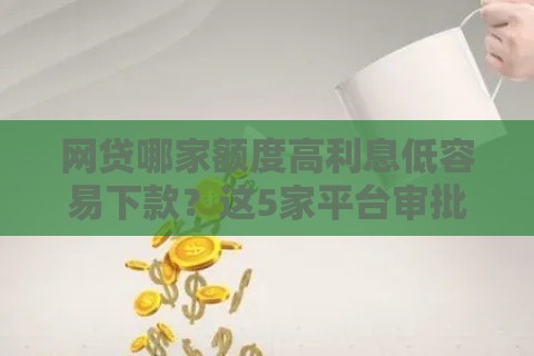 网贷哪家额度高利息低容易下款？这5家平台审批快、门槛低！