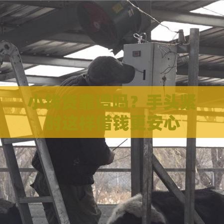 小钱贷靠谱吗？手头紧时这样借钱更安心