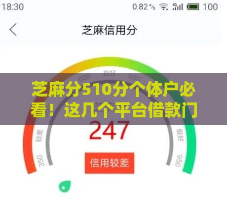 芝麻分510分个体户必看！这几个平台借款门槛低还靠谱