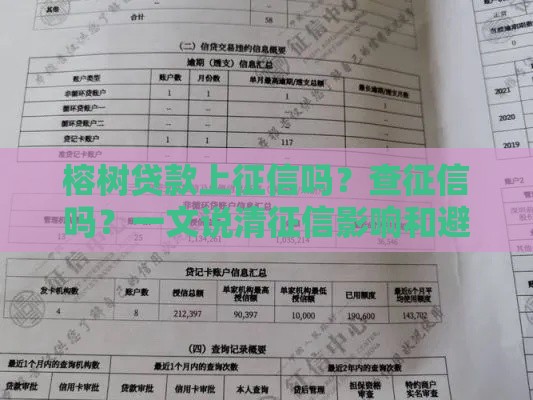 榕树贷款上征信吗？查征信吗？一文说清征信影响和避坑指南