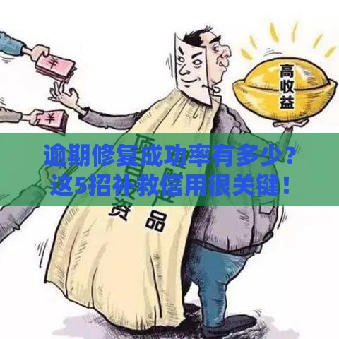 逾期修复成功率有多少？这5招补救信用很关键！