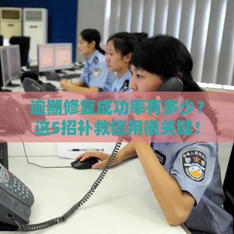 逾期修复成功率有多少？这5招补救信用很关键！