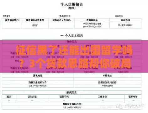 征信黑了还能出国留学吗？3个贷款思路帮你破局