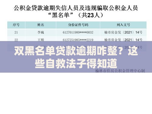 双黑名单贷款逾期咋整？这些自救法子得知道