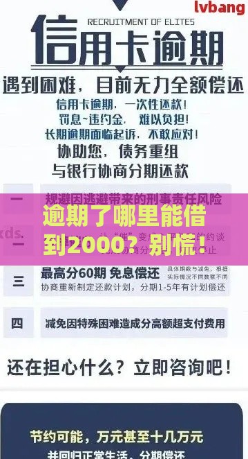 逾期了哪里能借到2000？别慌！这几个靠谱渠道帮你应急（快速到账）