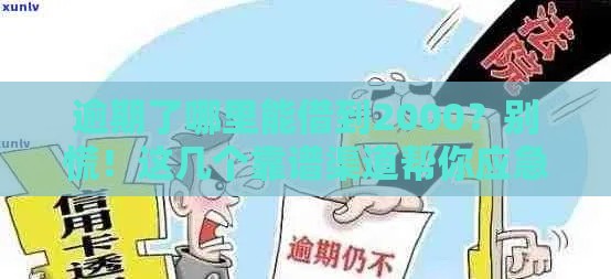 逾期了哪里能借到2000？别慌！这几个靠谱渠道帮你应急（快速到账）