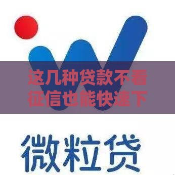 这几种贷款不看征信也能快速下款？