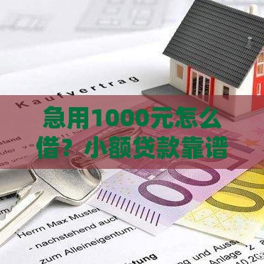 急用1000元怎么借？小额贷款靠谱渠道推荐，快速到账必看！