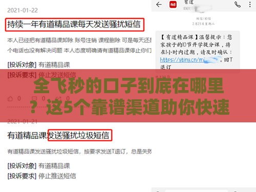 全飞秒的口子到底在哪里？这5个靠谱渠道助你快速解决资金难题