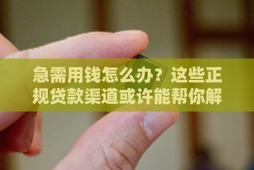 急需用钱怎么办？这些正规贷款渠道或许能帮你解燃眉之急！