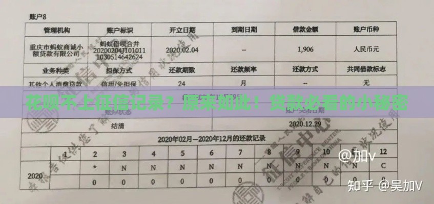 花呗不上征信记录？原来如此！贷款必看的小秘密