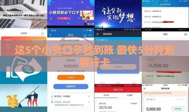 这5个小贷口子秒到账 最快5分钟到银行卡