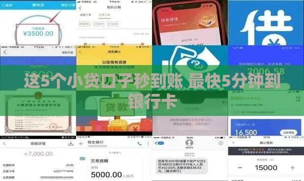 这5个小贷口子秒到账 最快5分钟到银行卡