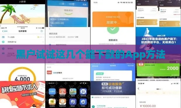 黑户试试这几个能下款的App方法