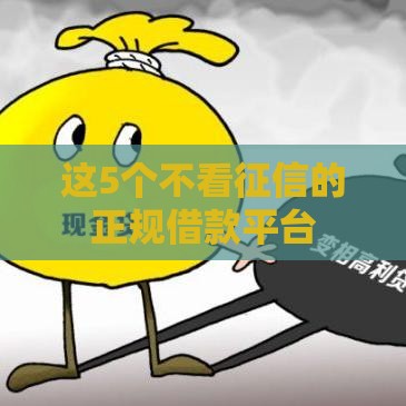 这5个不看征信的正规借款平台