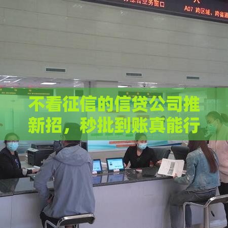 不看征信的信贷公司推新招，秒批到账真能行？
