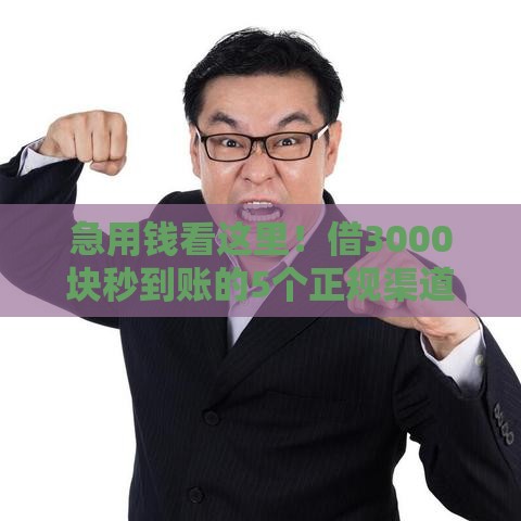 急用钱看这里！借3000块秒到账的5个正规渠道