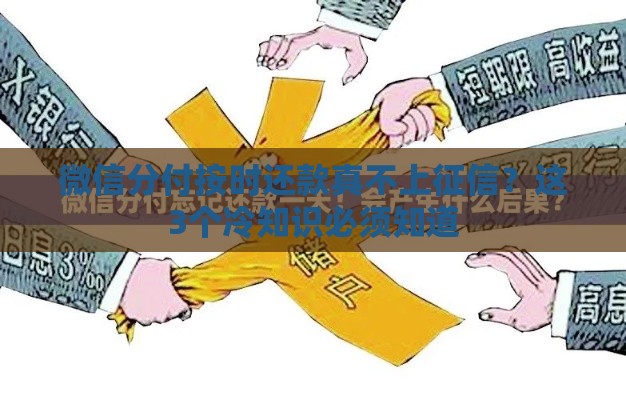 微信分付按时还款真不上征信？这3个冷知识必须知道