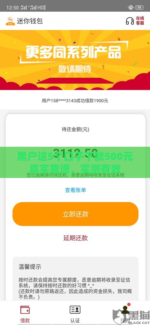 黑户这5个口子下款500元真实靠谱，实测有效