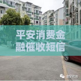 平安消费金融催收短信内容解析与应对策略