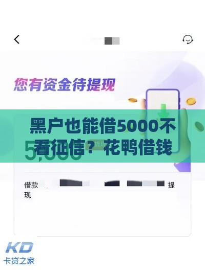 黑户也能借5000不看征信？花鸭借钱实测秒到账攻略