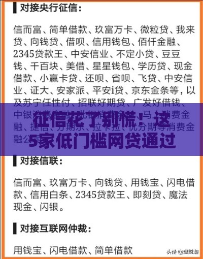 征信花了别慌！这5家低门槛网贷通过率高